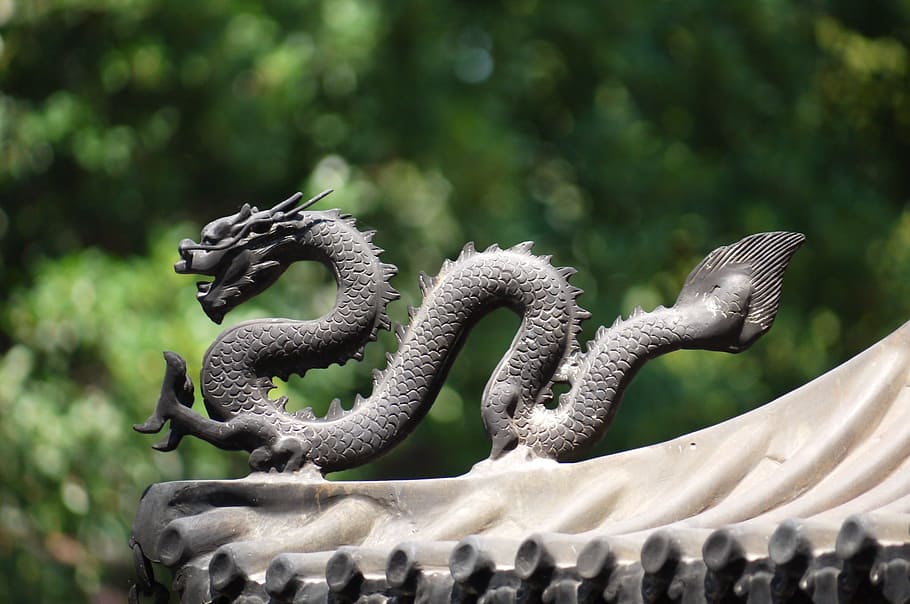 focal, focus photography, dragon finial, china, monument, tourism, travel, temple, culture, buddhism