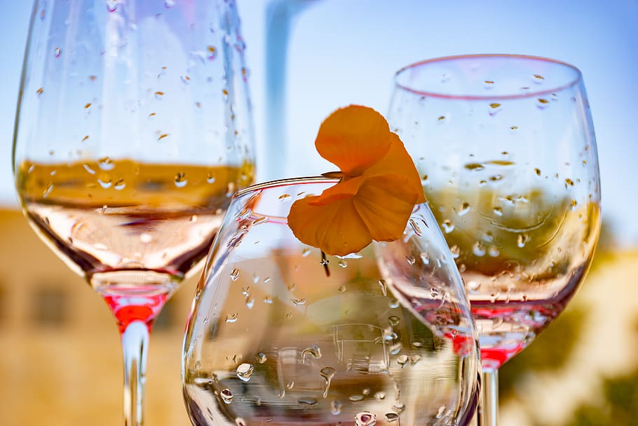 copas de vino, copas vacías, cristalería, transparente, copas, copa de vino, flor, cielo, gotas de agua, copas limpias