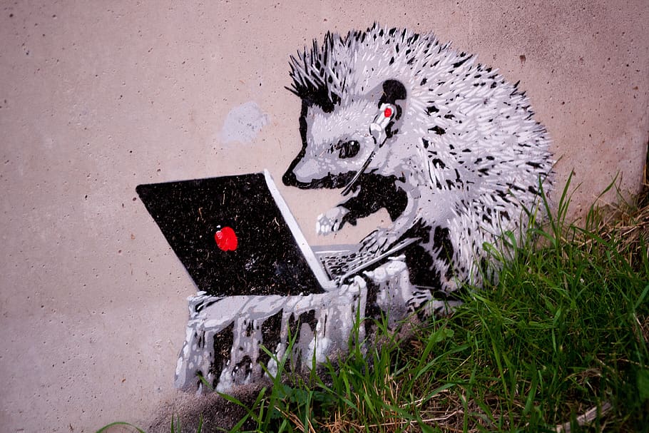 grafitti, estonia, mac, apple, hedgehog, comic, bird, animal, day, nature