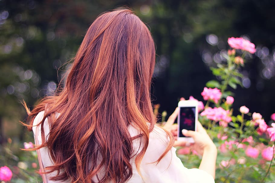 red, long, haired woman, using, smartphone, take, pink, flowers, red long, long haired