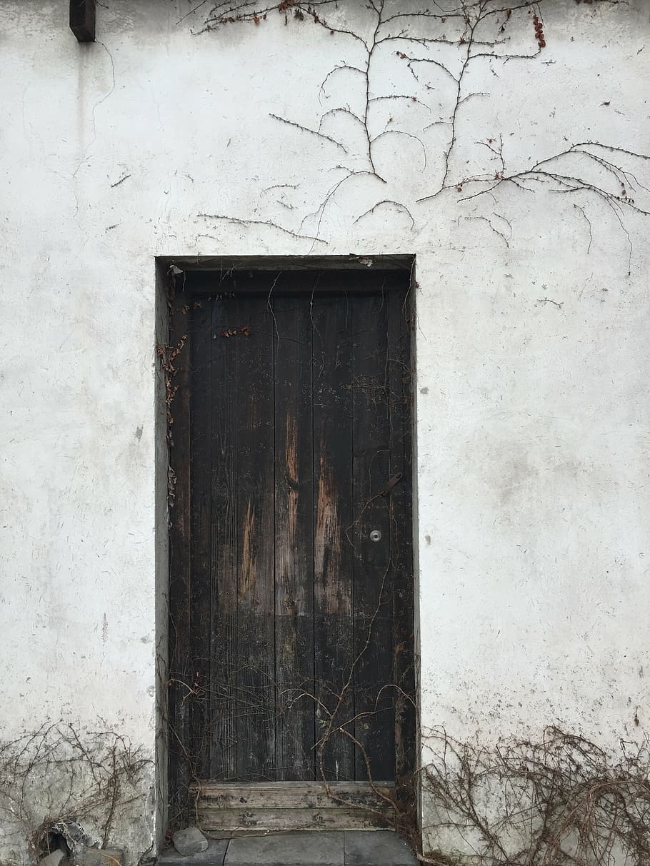 door, white, contrast, old, wood, entrance, white wall, the cannibals, positive, building