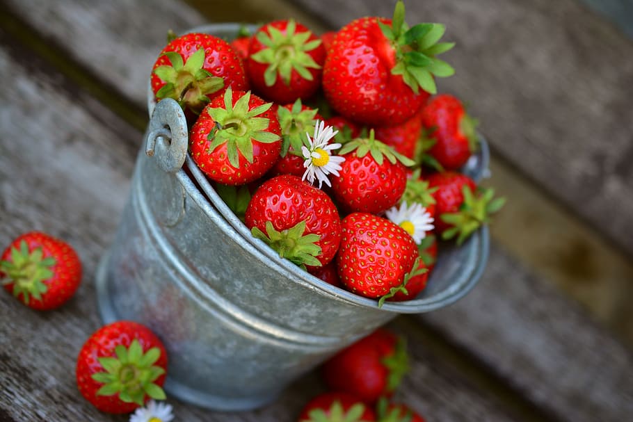 selective, focus photography bucket, strawberries, fruit, delicious, food, eat, berries, strawberry time, garden