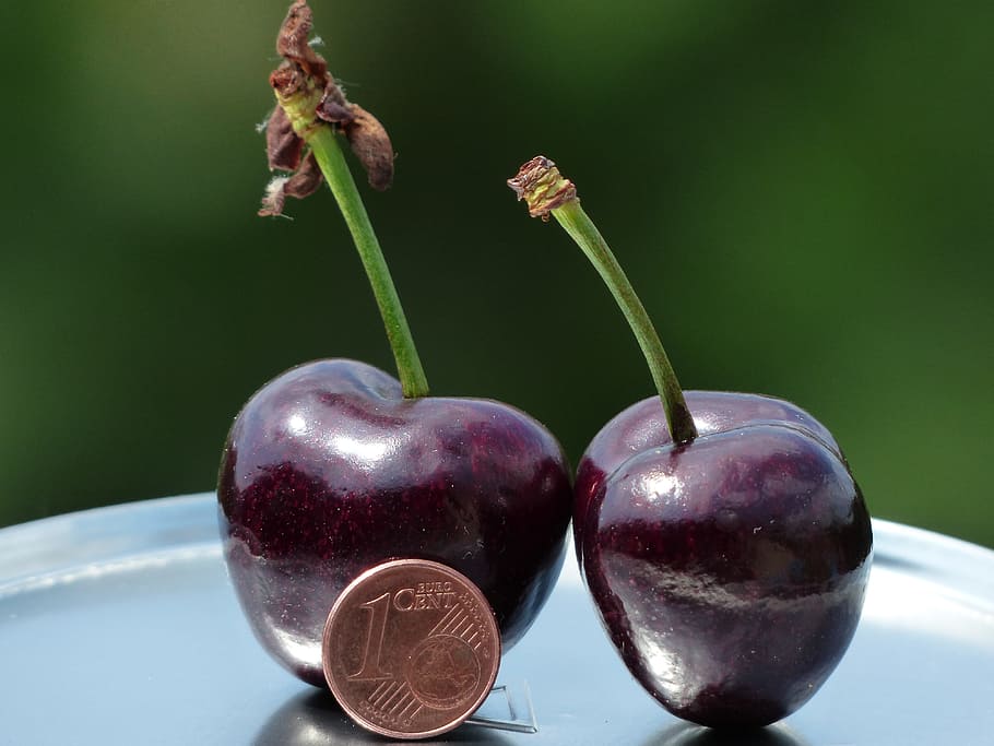 two, cherries, 1 cent penny, large, huge, size comparison, cent, penny, coin, monster cherry