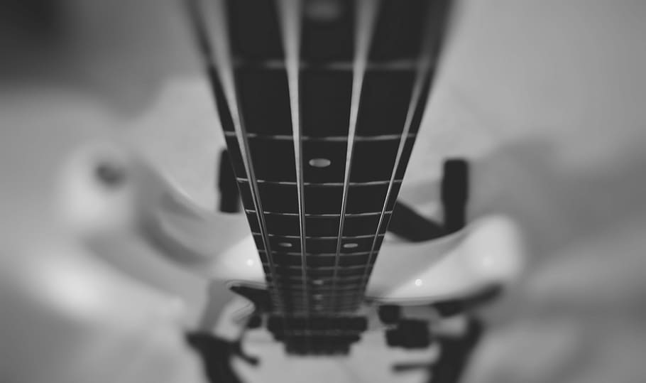Fotografía en escala de grises, bajo, guitarra baja, música, bajo eléctrico, cuerdas, instrumento musical, arte cultura y entretenimiento, instrumento de cuerda, equipo musical