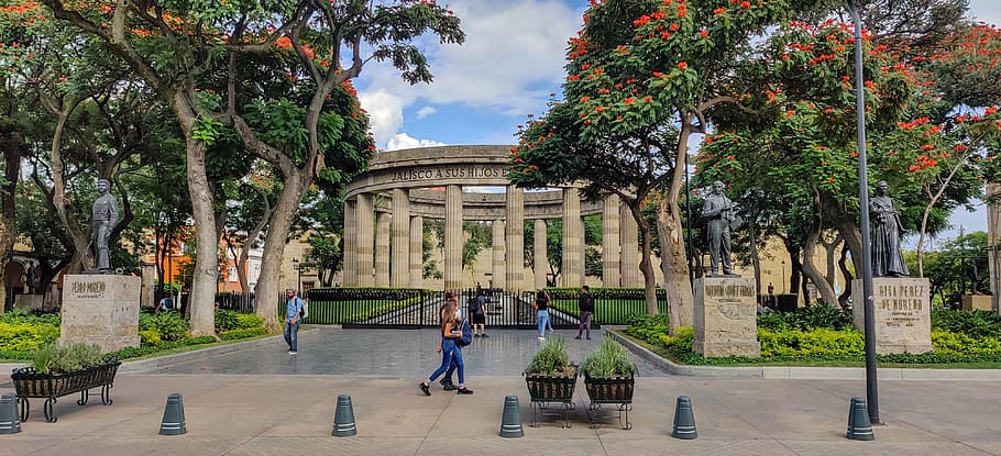 guadalajara, mexico, jalisco, architecture, city, buildings, historical, roundabout of the man illustrious, tree, built structure