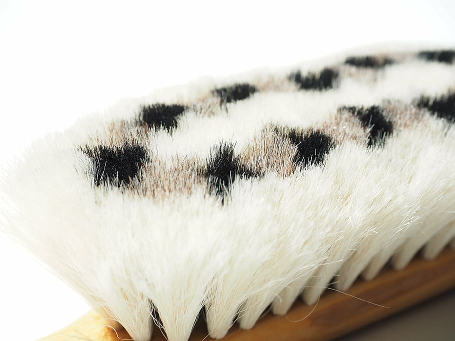 goat hair brush, brush, bristles, clean, wipe, feather duster, make clean, animal, close-up, white color