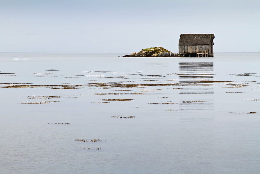 brown, wooden, house, middle, ocean, sea, water, woods, alone, deserted