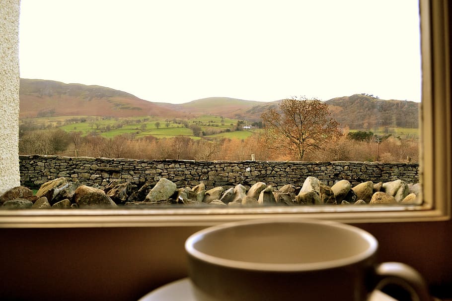 brown, concrete, fence, stones, cup, window, optimistic, coffee, tea, home