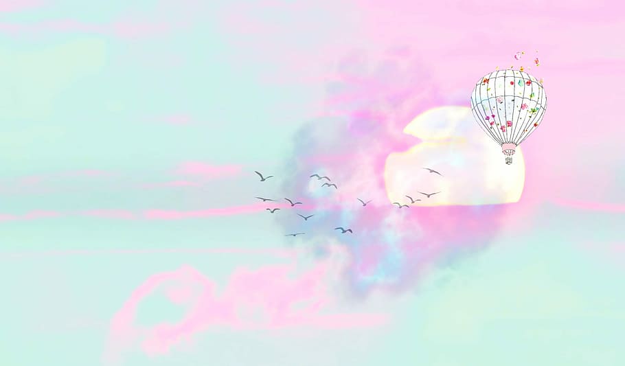 ilustração, branco, rosa, quente, balão de ar, preto, voando, pássaros, nascer do sol, fundo