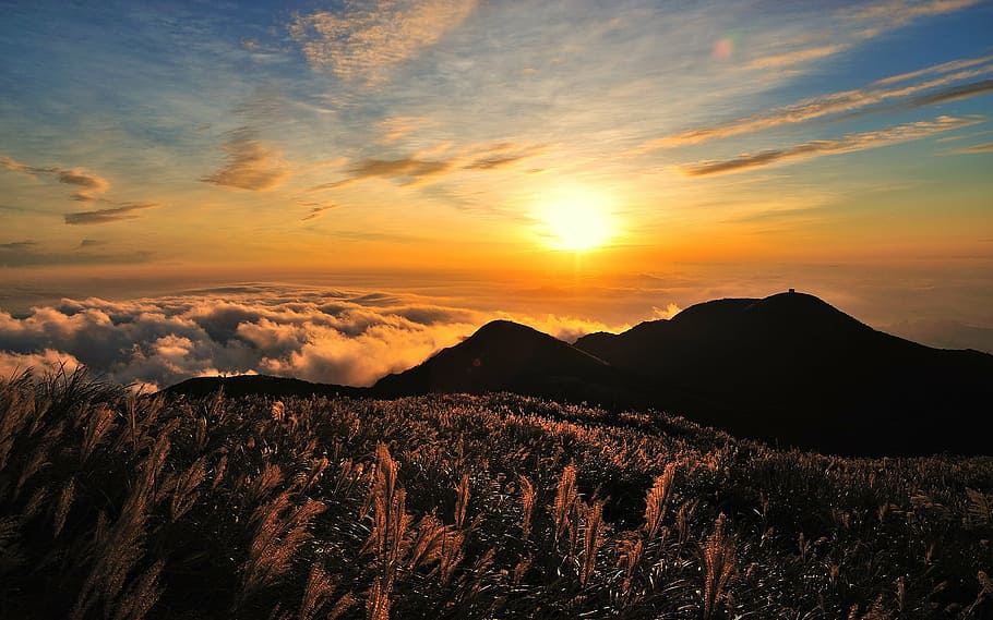 silhouette photo, mountain, taiwan, sky, a surname, miscanthus, clouds, sun, the evening sun, datun