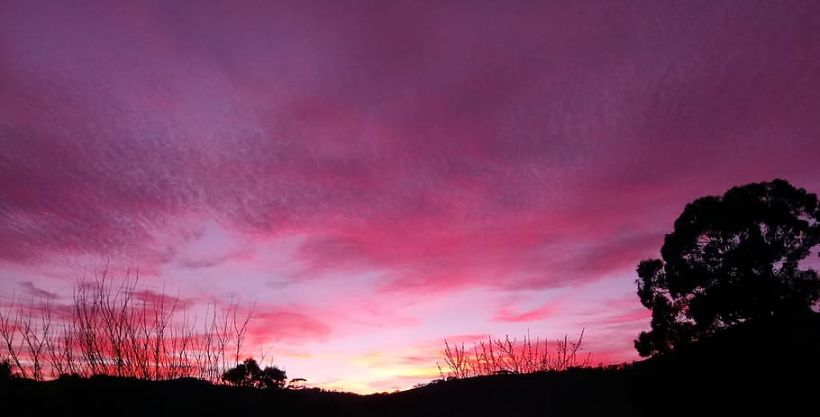 amanecer, nubes, púrpura, invierno, mañana, naturaleza, australia, fondo, nube - cielo, cielo
