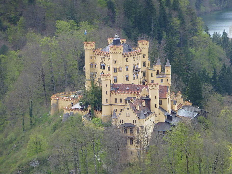 yellow, castle, green, trees, neuschwanstein, bavaria, baroque, nineteenth-century, romanesque revival, palace