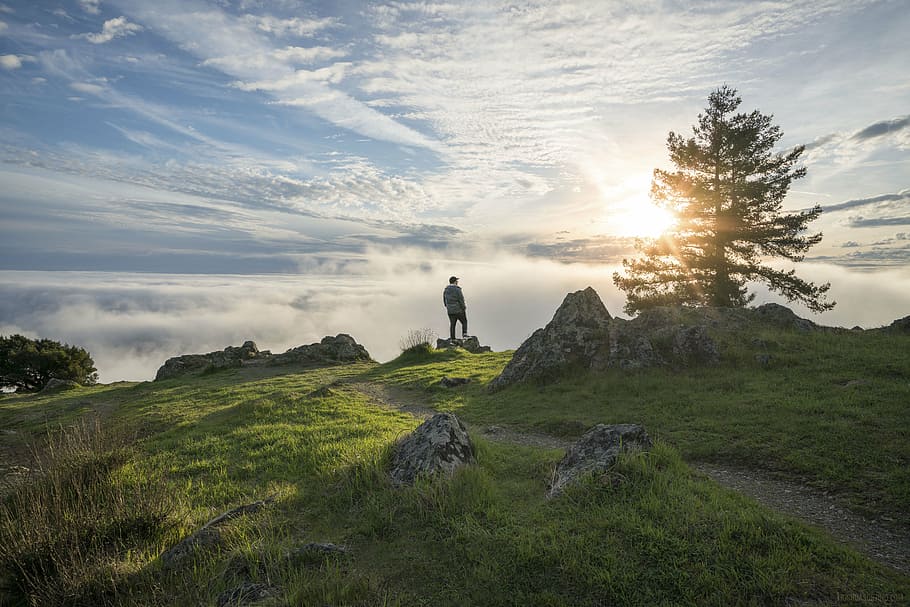man, standing, rock, surrounded, grass, mountain, highland, cloud, sky, summit