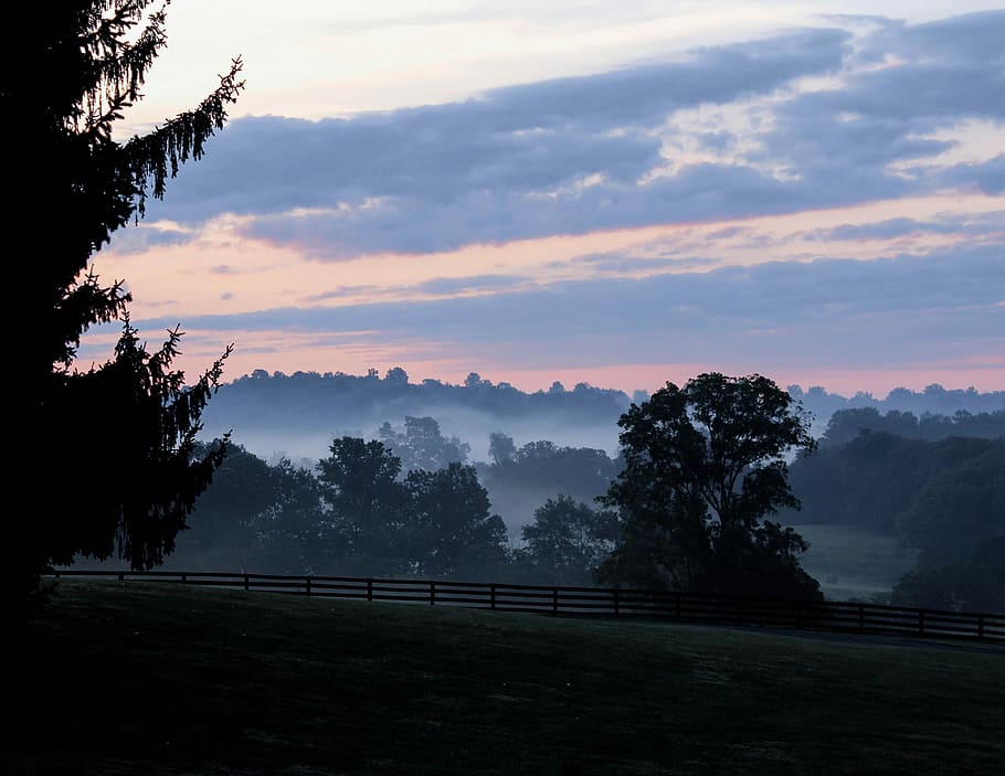 trees, fence, daytime, Dawn, Morning, Mist, Blue Ridge Mountains, morning mist, vista, fog