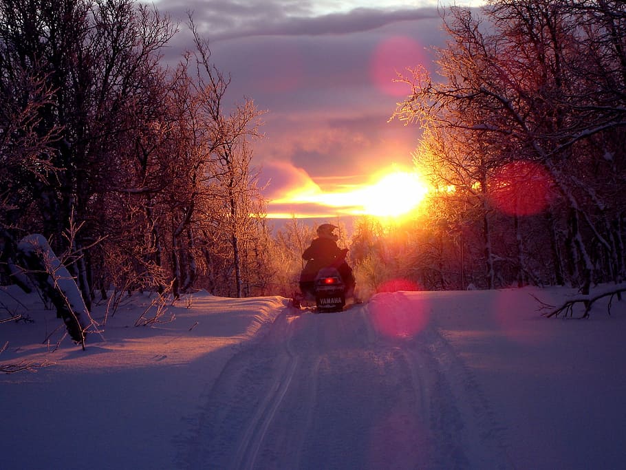 silhouette, person, riding, snowmobile, besides, trees, sunset, scooter, backlight, the journey home