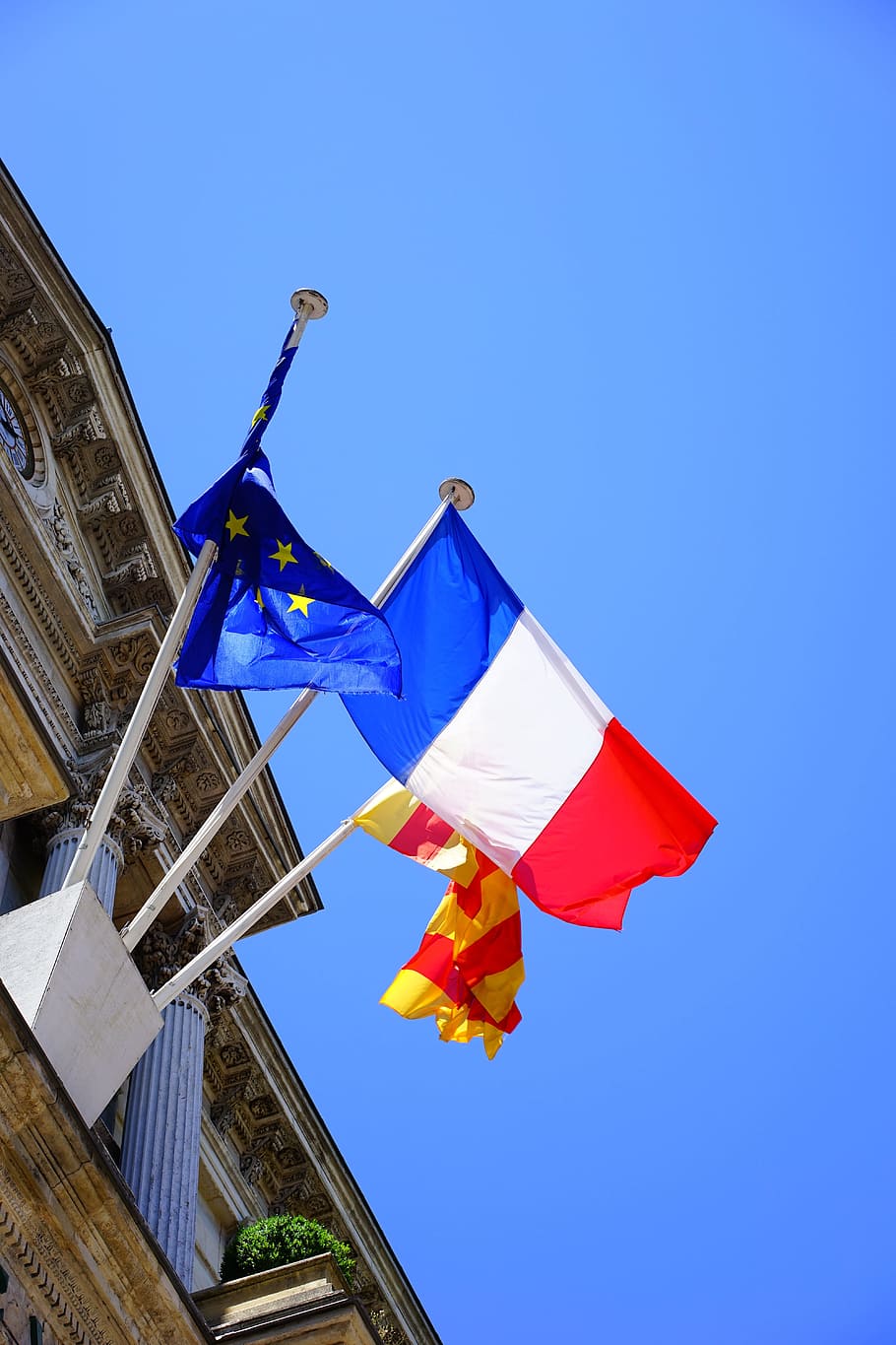 bandera, francia, unido, reino, polo, banderas, golpe, bandera francesa, ayuntamiento, avignon