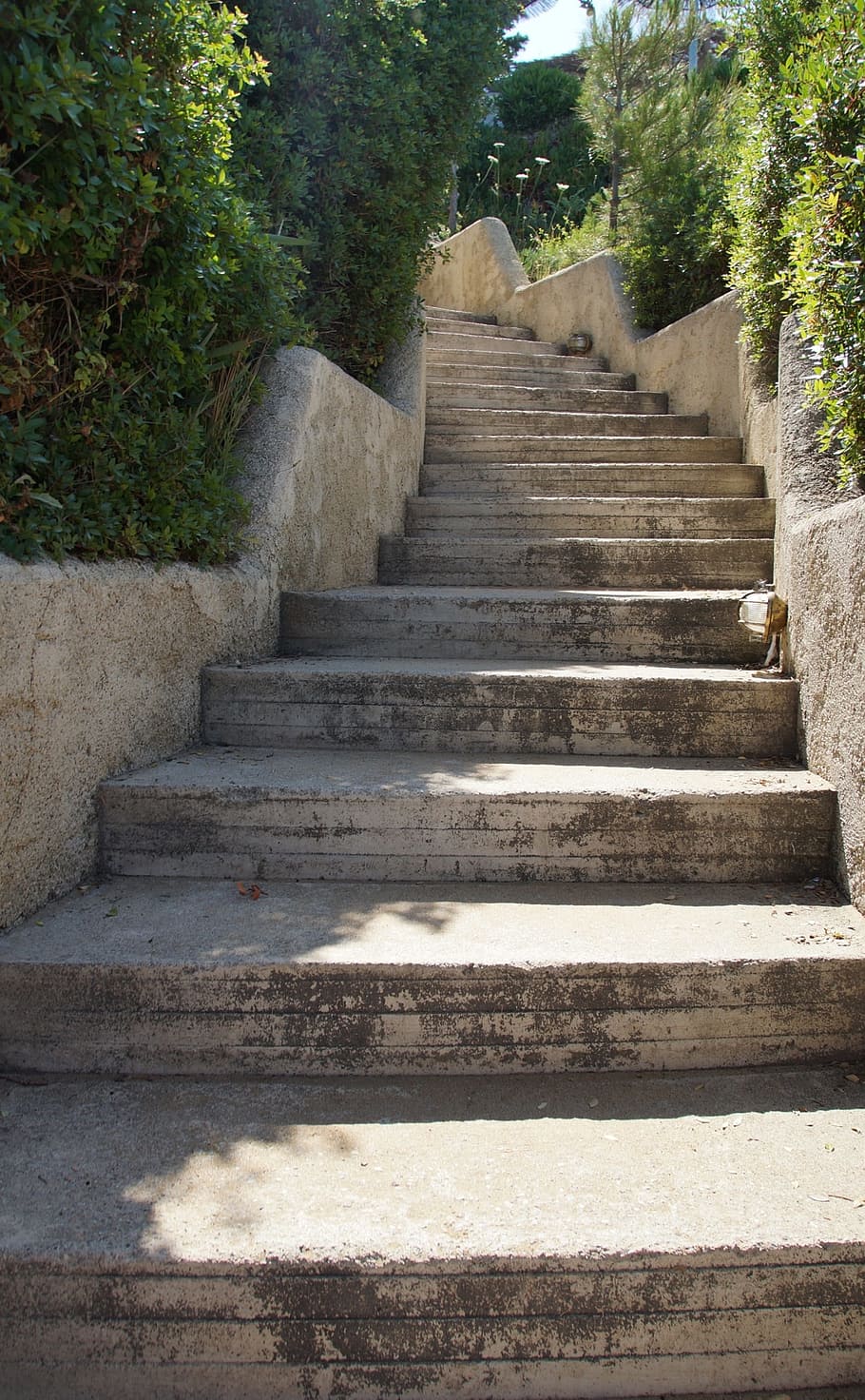 gray, concrete, stairs, plants, daytime, stone, staircase, stone steps, steps and staircases, plant