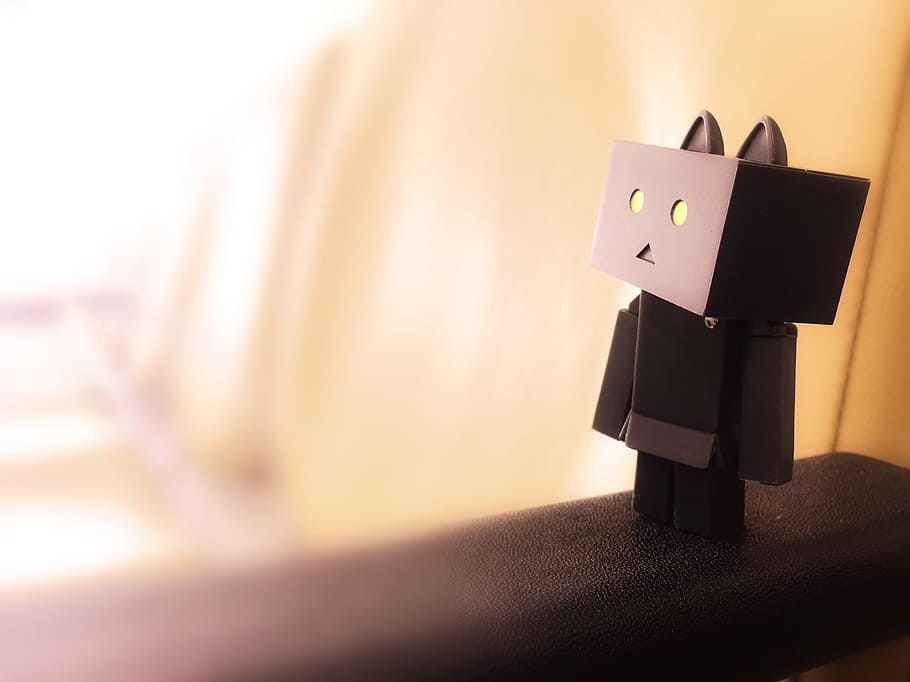 depth, field photograph, box cat, danbo, nyangbo, figures, doll, black and white, loneliness, box