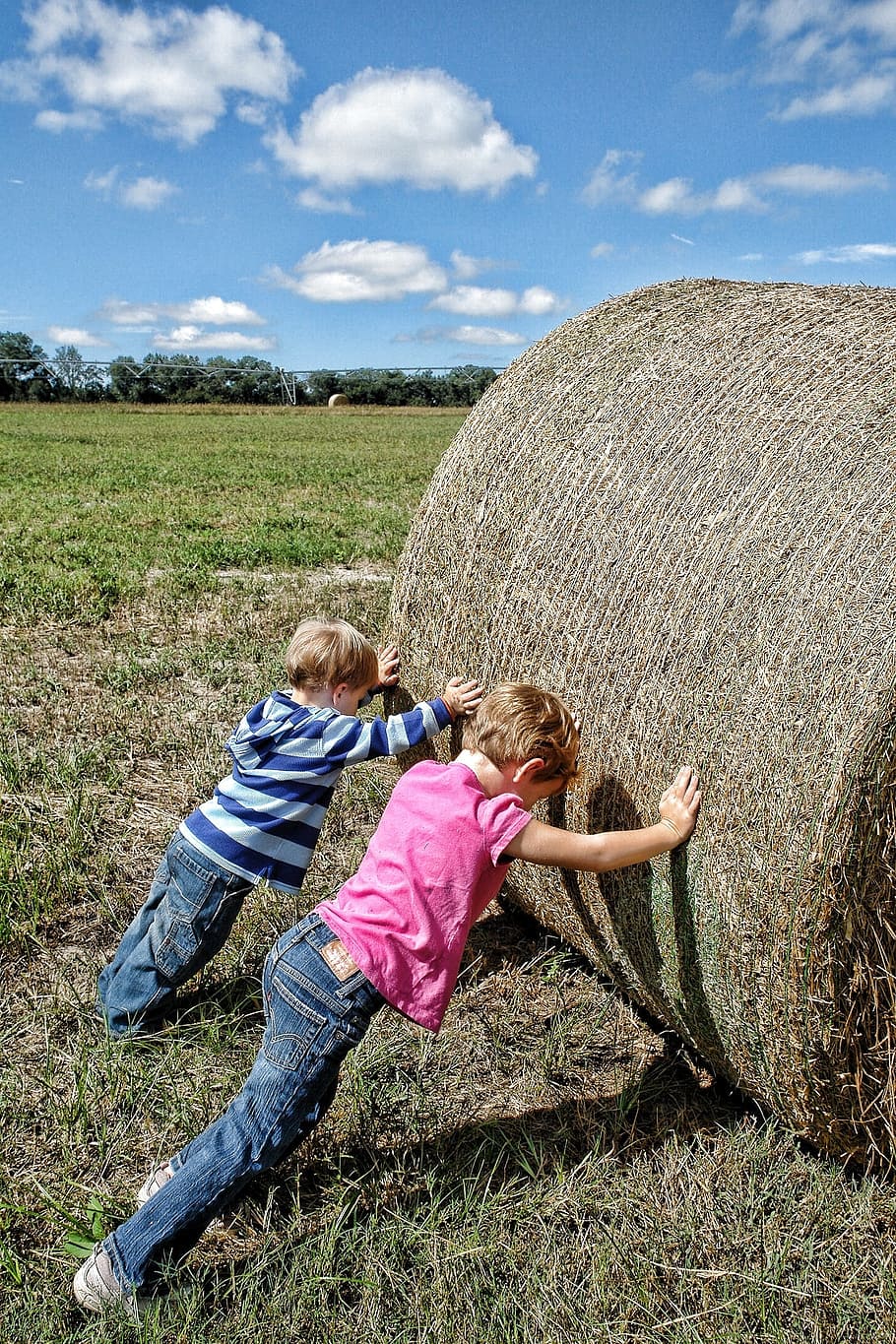 two, children, pushing, haystack, teamwork, farm workers, co-operation, farm, hay, worker