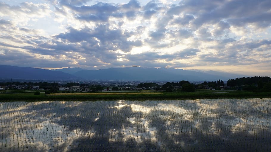 paisaje, al atardecer, puesta de sol, nube, brillante, reflejo en el agua, campos de arroz de yamada, nube - cielo, cielo, belleza en la naturaleza