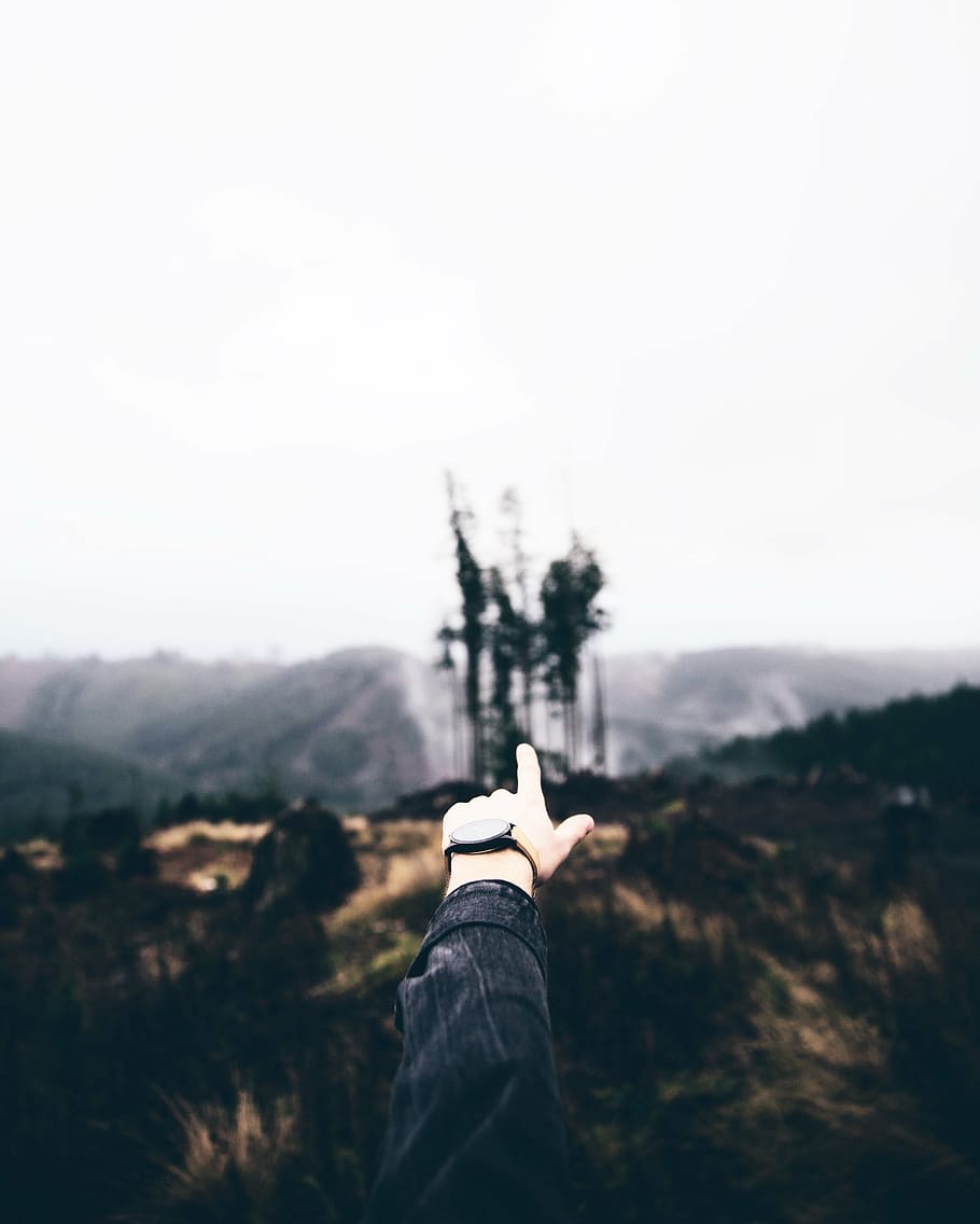 person, pointing, mountain, daytime, trees, shallow, focus, photography, shot, finger