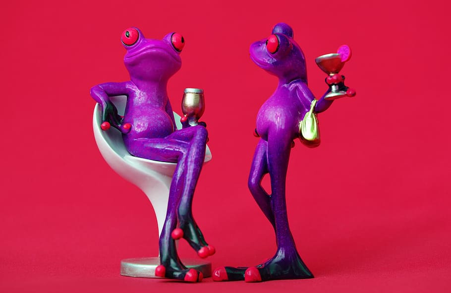 frog, chair, cozy, for two, drink, wine, soaked, cute, sweet, funny