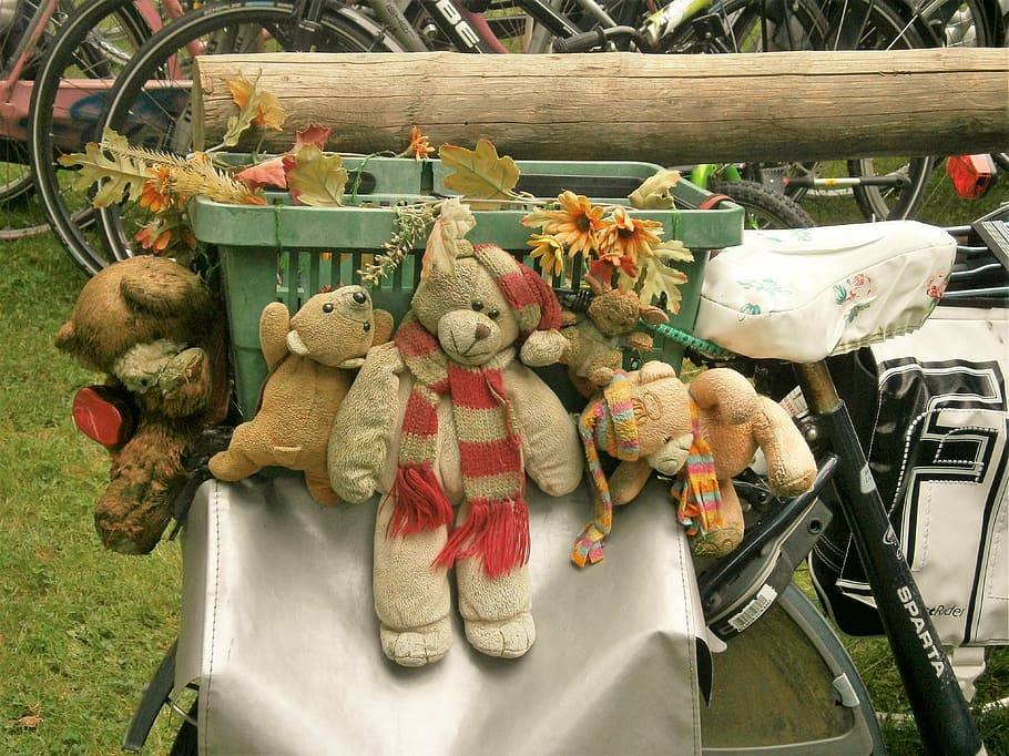 bear, bicycle, bike bag, basket, decoration, representation, stuffed toy, toy, teddy bear, art and craft