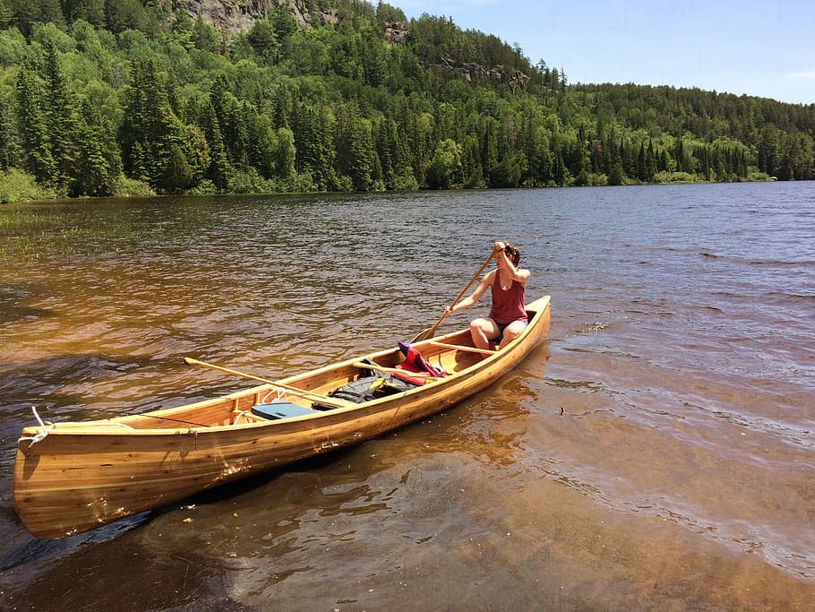canoe, cedar, wood, peaceful, canada, shoreline, paddle, ontario, forest, wilderness