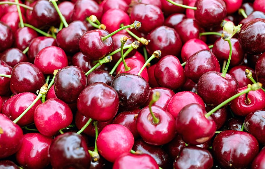 bunch of cherries, cherry, sweet cherry, red, fruit, fruity, delicious, food and drink, food, healthy eating
