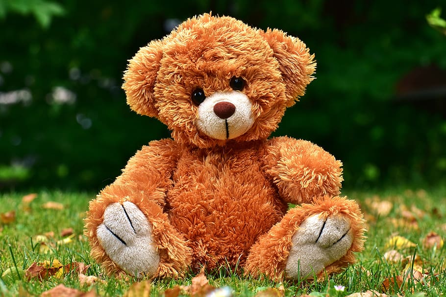 brown, bear, plush, toy, teddy, cute, soft toy, stuffed animal, sweet, toys