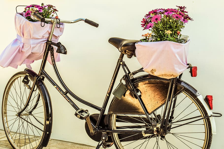 female, beach cruiser, pink, petaled flower arrangement, basket, bicycle, flowers, bike, vintage, retro