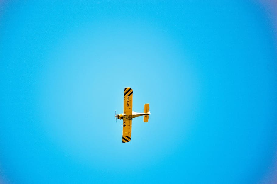 flying, yellow, black, plane, white, aircraft, sky, worms, eyeview, photography