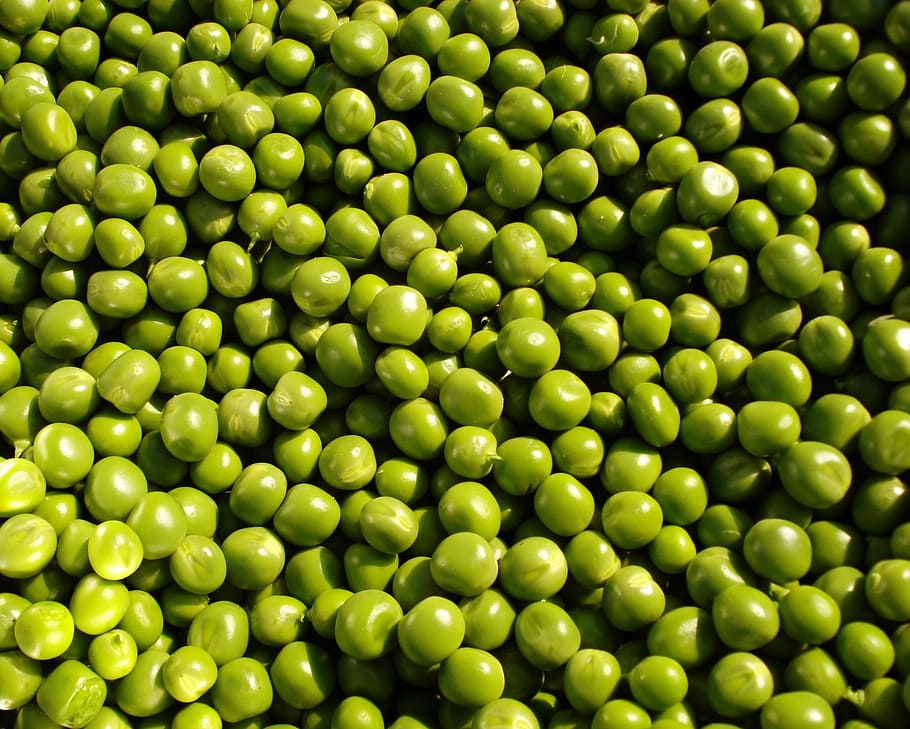 bunch, green, peas, Pea, Vegetables, Green, Food, food, vegetable, fresh, soup