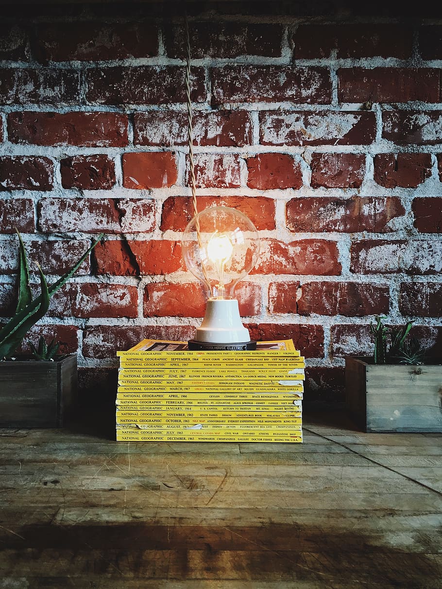 bulb, idea, bricks, red, lightbulb, electricity, electric, power, national geographic, light