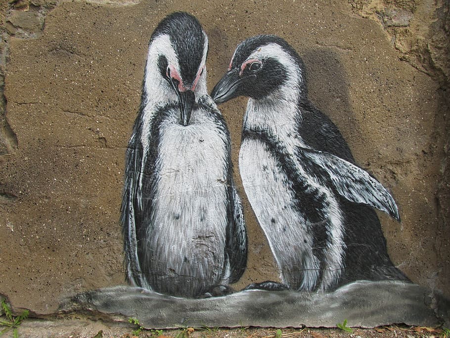 two, black, white, penguins, wall art, wall, zoo, berlin, lichtenberg, germany