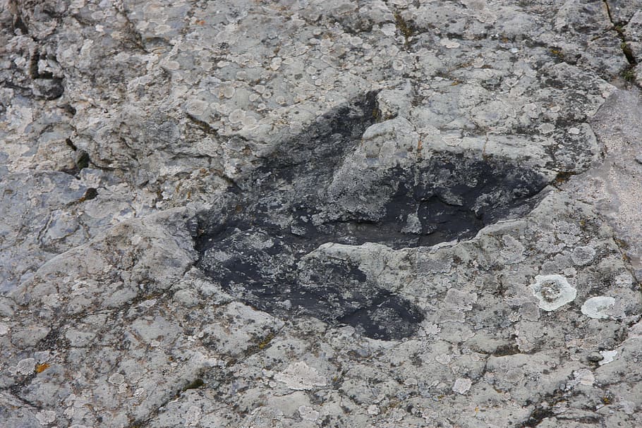animal footprint, Footprint, Dinosaur, Soria, ignita, fossil, spain, extinct, rock - object, research