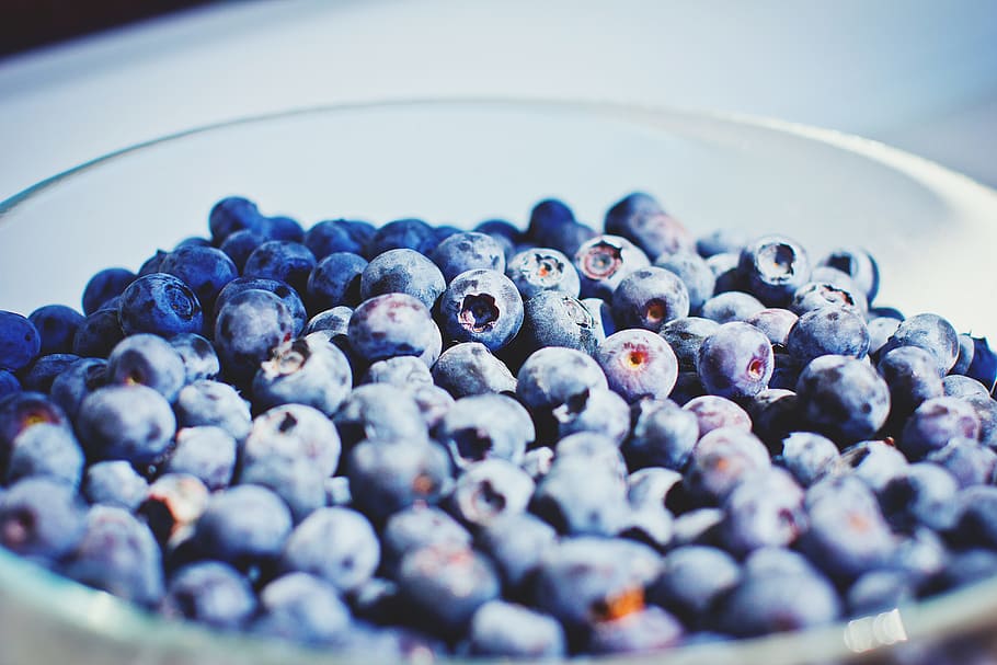 blueberries bowl, Blueberries, Bowl, fruit, food, blueberry, healthy Eating, berry Fruit, freshness, organic