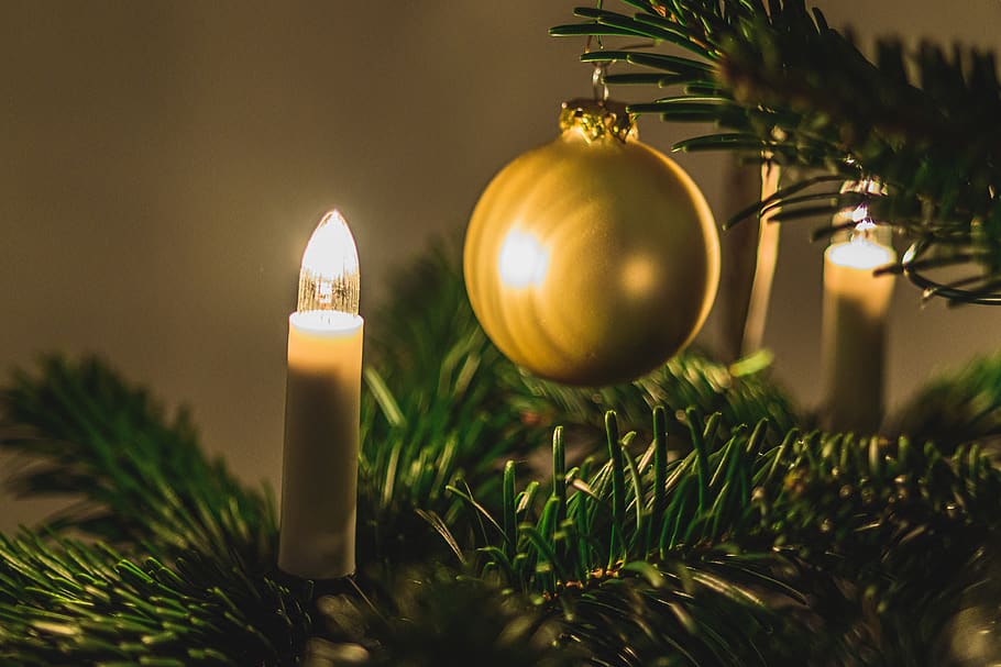 christmas tree, christmas, decoration, tree, holidays, celebration, holiday, christmasbackground, xmas, december