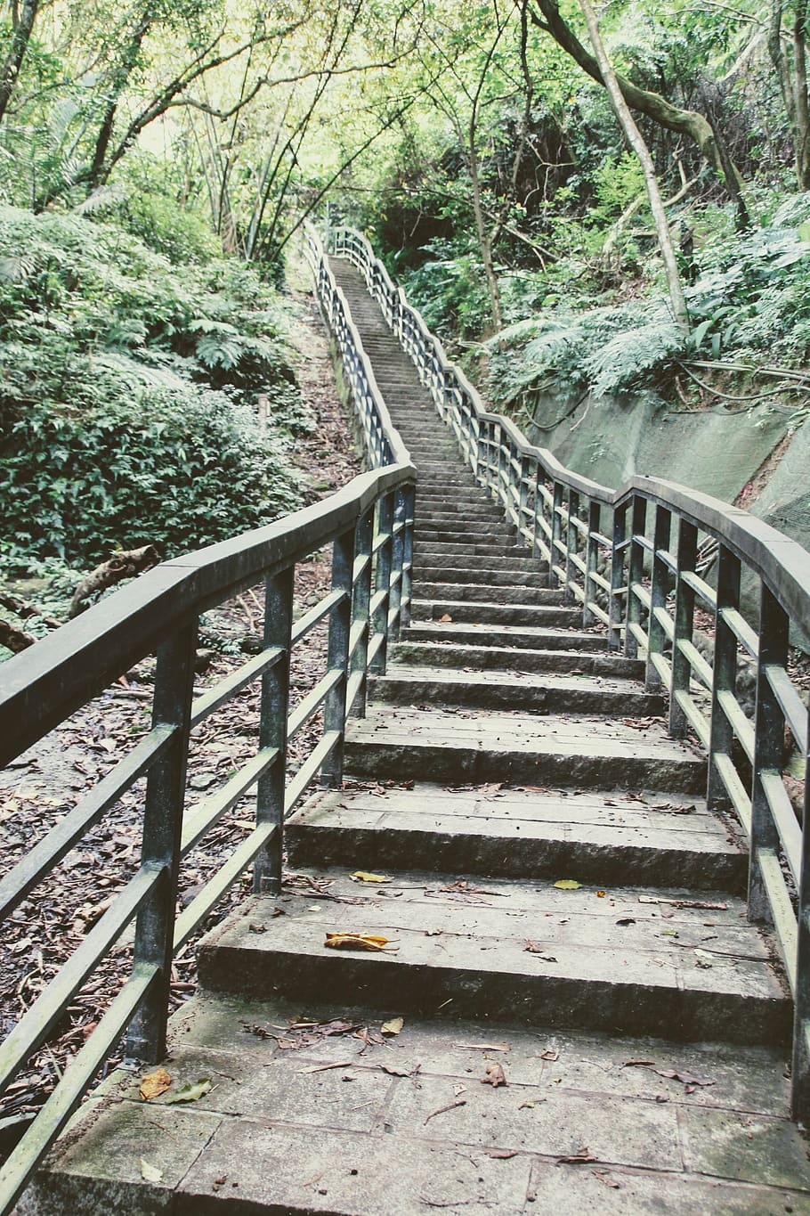 stairs, staircase, gradually, ramp-up of, taiwan, taipei, mountain, emergence, rise, railing