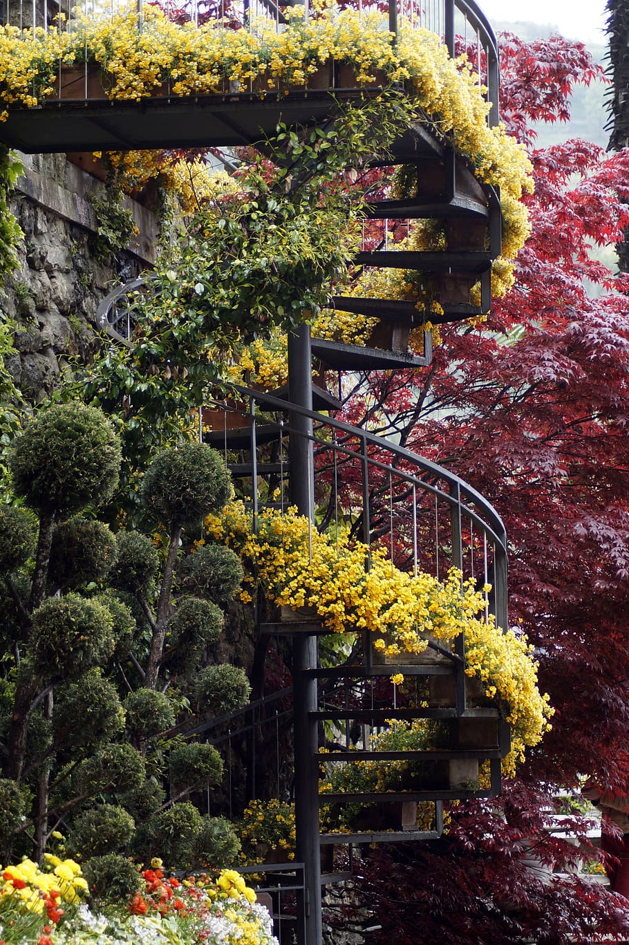 spiral staircase, flowers, stairs, flowerpot, nature, decoration, architecture, plant, yellow flowers, built structure