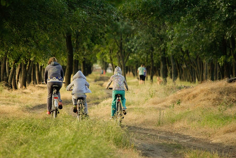 tres, personas en bicicleta, al aire libre, familia, vacaciones, niños, bosque, deportes, bicicleta, bienestar
