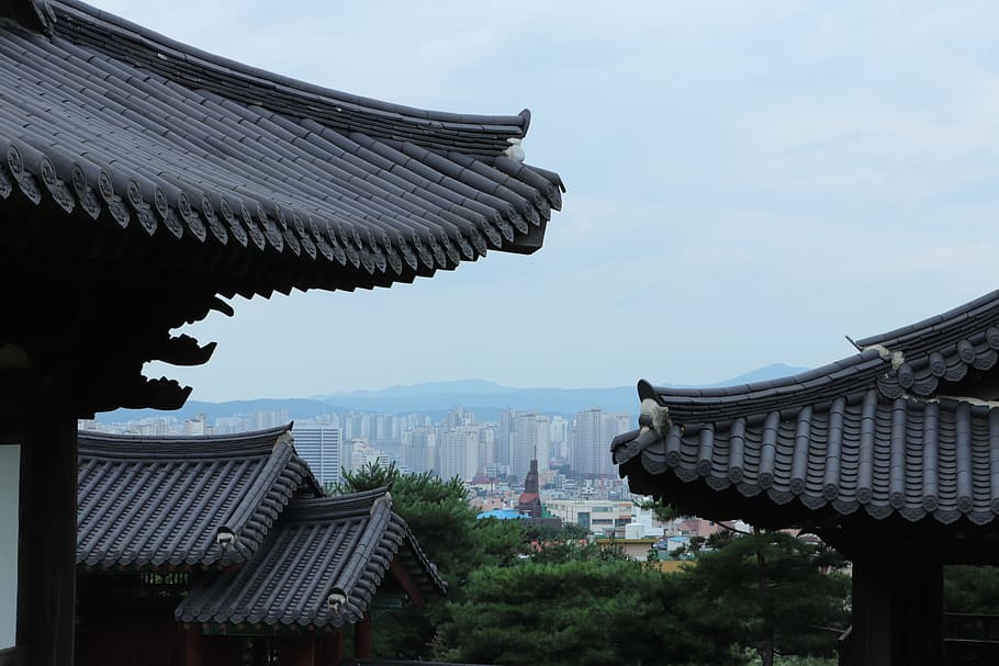 temple near trees, city, church, roof, blue, gray, black, white, korea, korean