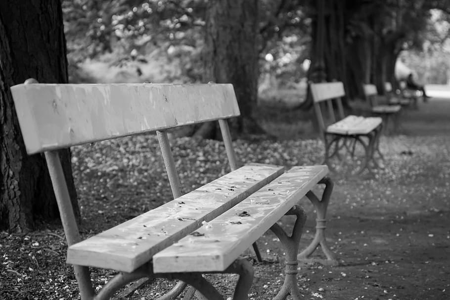 bench, park, bokeh, empty, autumn, abandoned, white, black, seat, lonely