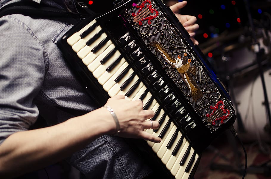person playing accordion, accordion, harmonica, acordeon, music, musical instrument, musical equipment, one person, midsection, arts culture and entertainment