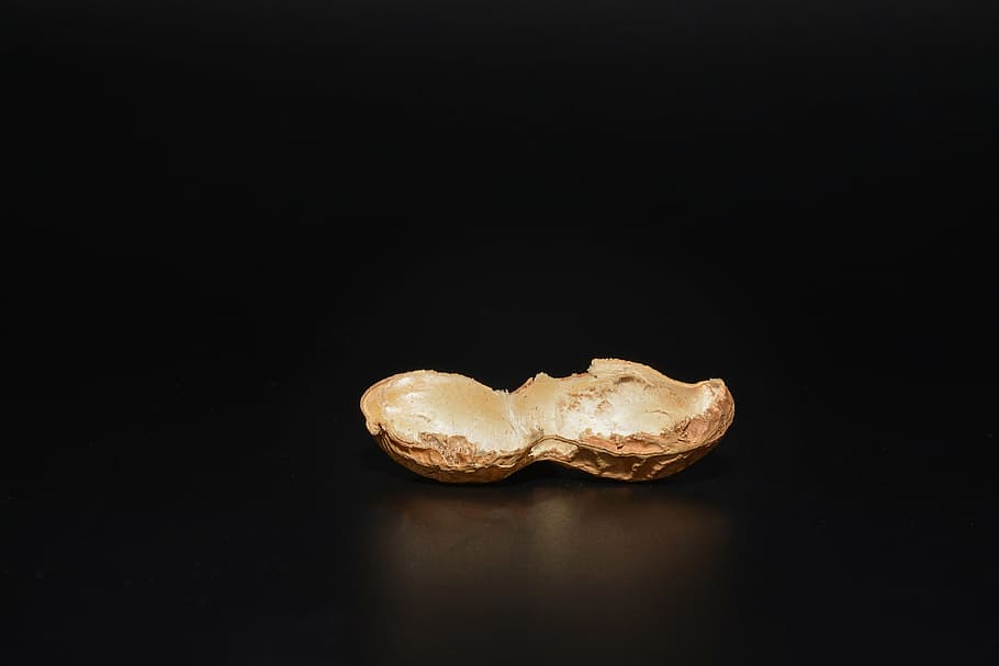 peanut, cut in half, empty, halved peanut shell, peanut shell, empty peanut, close, black background, studio shot, food and drink