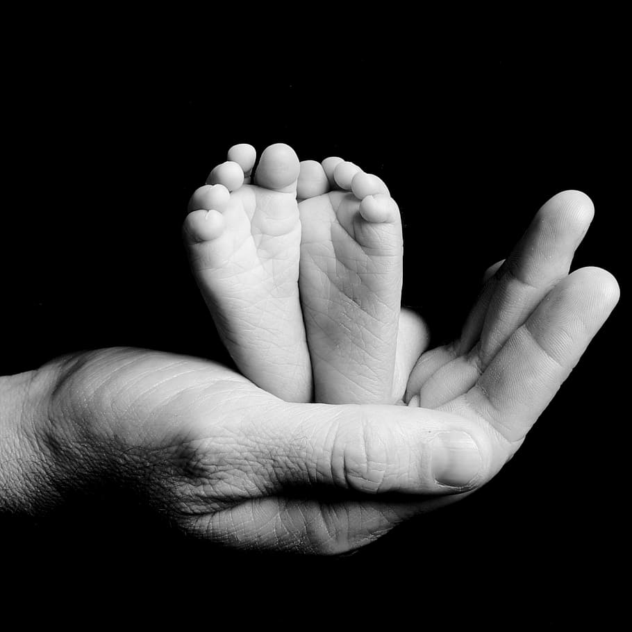 greyscale photo, child, feet, person, hand, greyscale, child's, newborn, parent, hold