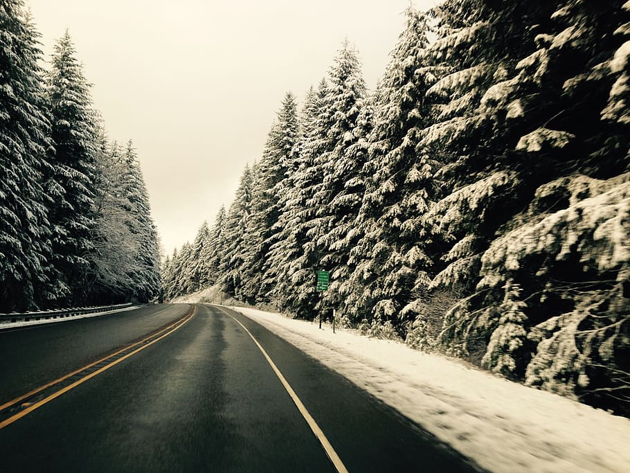 Salju, Oregon, Gunung, Indah, Perjalanan, hutan, barat laut, pasifik, utara, musim dingin