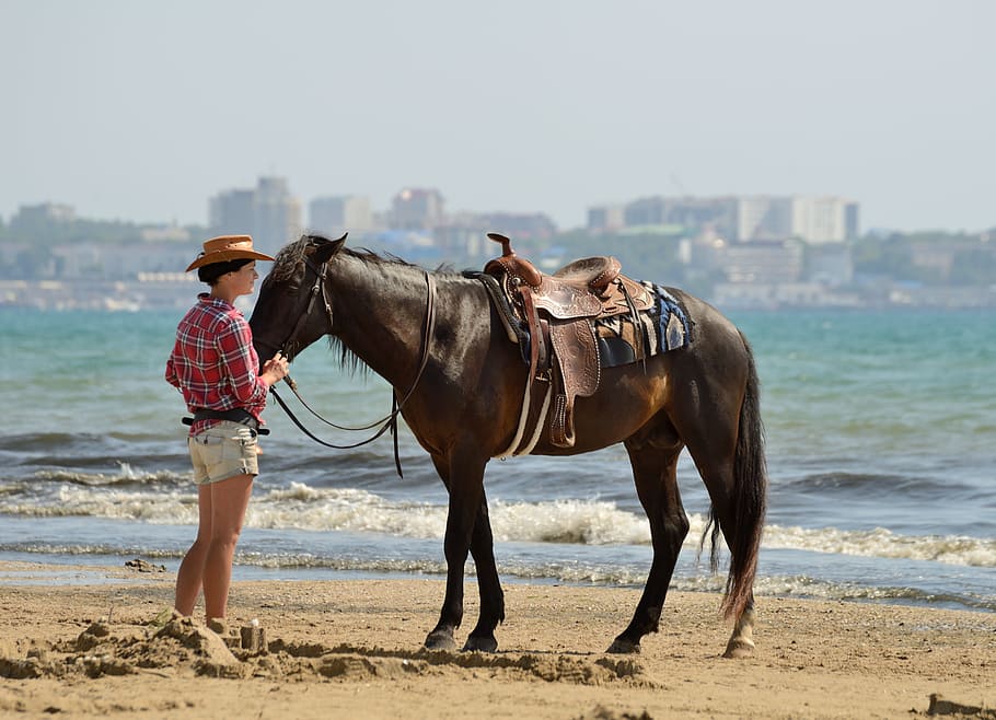 woman, standing, front, brown, horse, beach, stroll, mammal, domestic animals, land