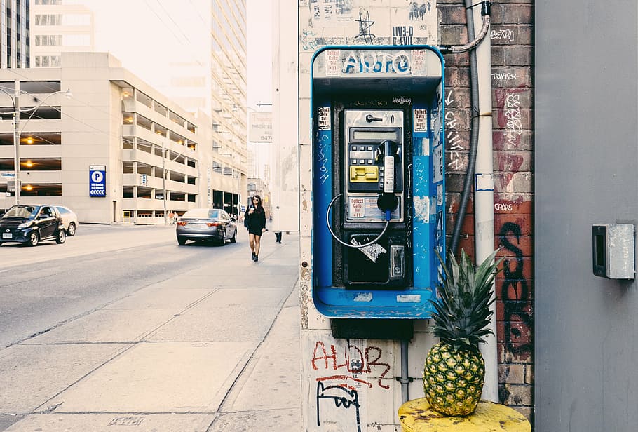 pineapple fruit, blue, payphone, buildings, cars, fruit, graffiti, grunge, pineapple, sidewalk