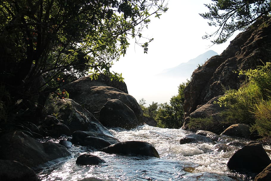 aliran, batuan, air, sungai, alam, pohon, hutan, pemandangan, tenang, permai
